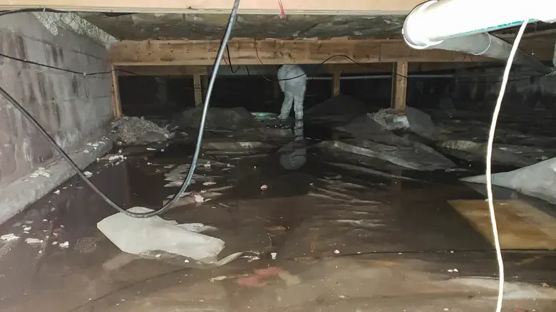 Standing water and a torn vapor barrier in a flooded Mt. Juliet crawl space